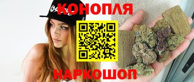 стаф Аргун
