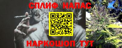 крисы Анапа