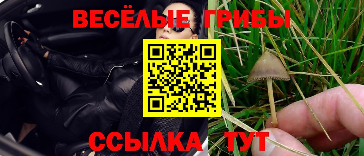 Губкин  Вход с VPN  Меф   ГАШИШ  Бошки Шишки  COCAIN 
