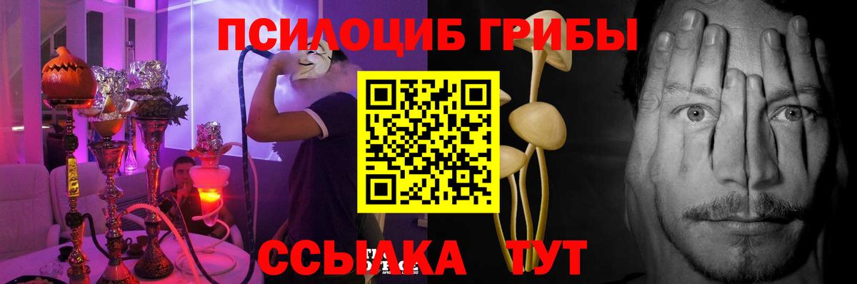 Губкин  Галлюциногенные грибы Psilocybine cubensis  Вход с VPN 